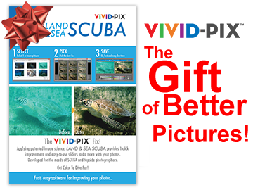 2017 VP Gift Card LSP